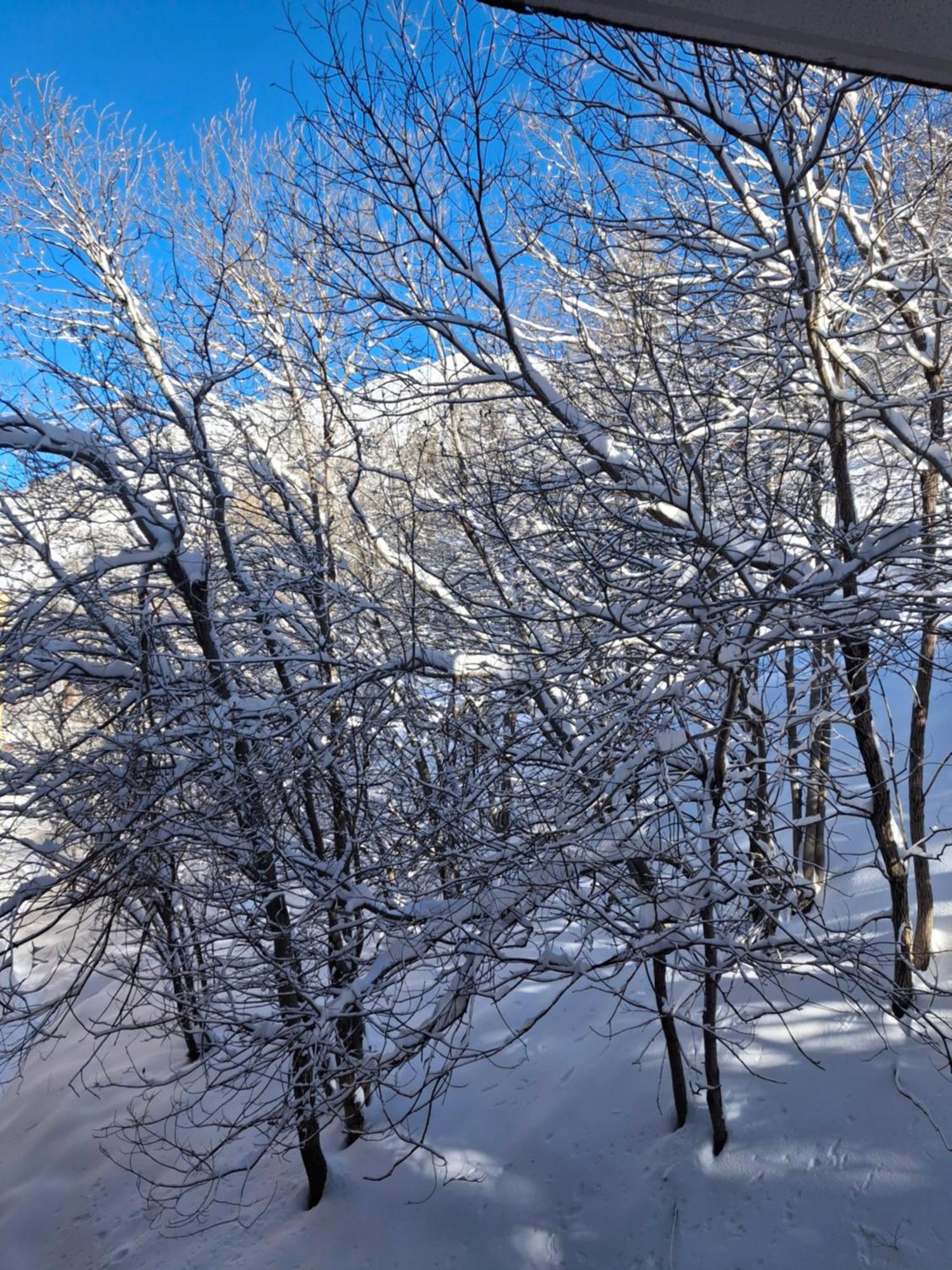 Appartement Studio Front De Neige, Acces Direct Aux Pistes อิโซลา 2000 ภายนอก รูปภาพ